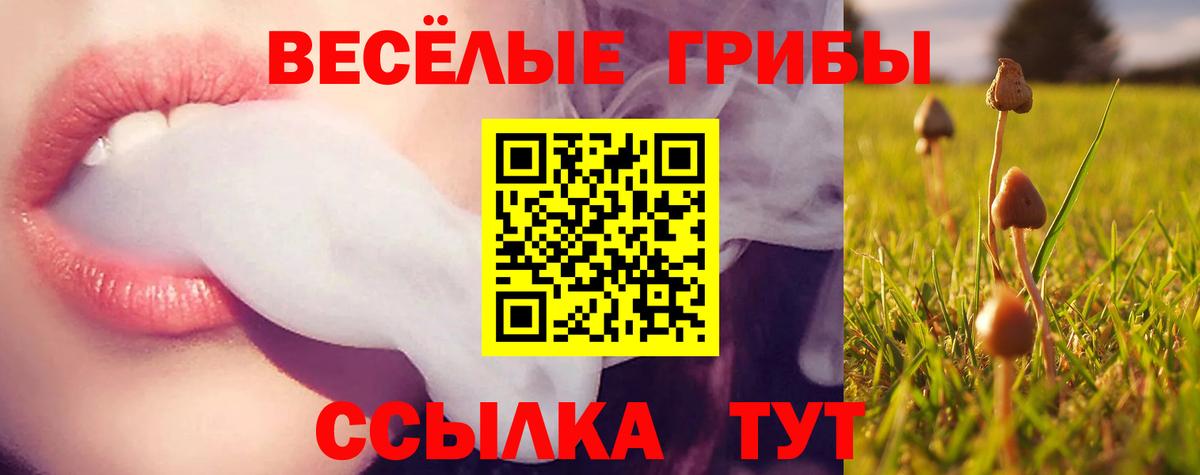 Галлюциногенные грибы Psilocybine cubensis  Вход с VPN  продажа наркотиков  Ноябрьск 