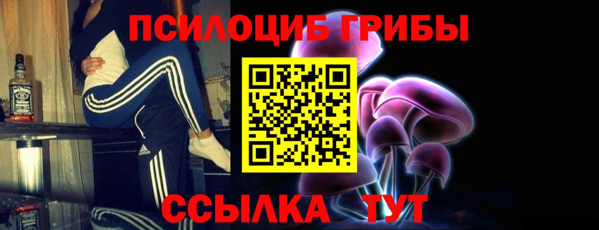 Псилоцибиновые грибы мухоморы Ноябрьск